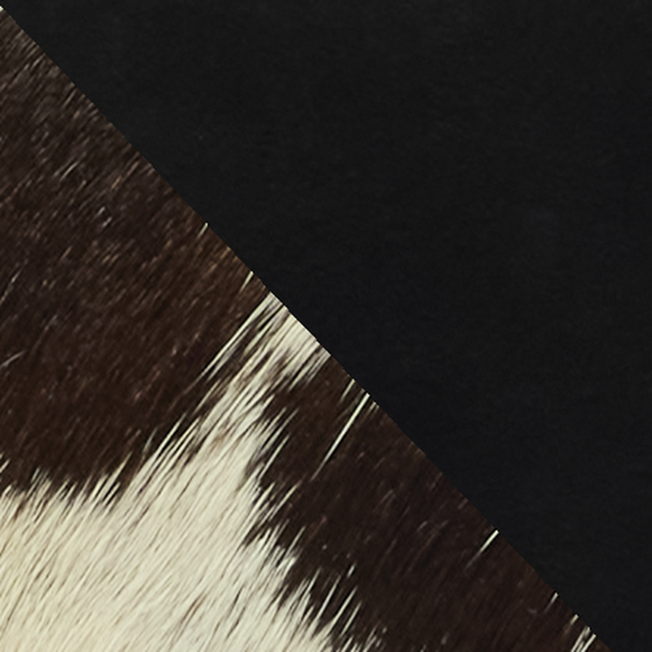 black-python-05_easy-resize.