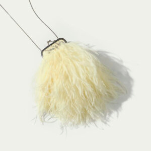 Stardust Feather Mini Clutch